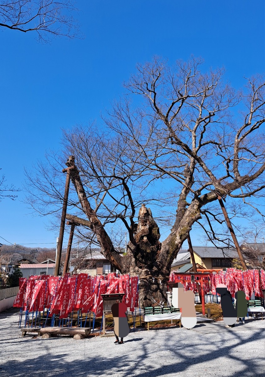 20260305_113625_copy_1041x1481