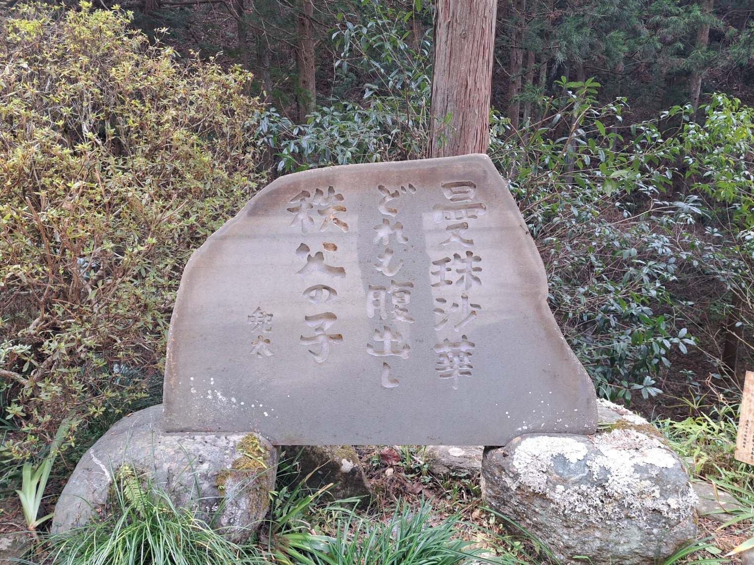 20260302_131609_copy_1525x1144