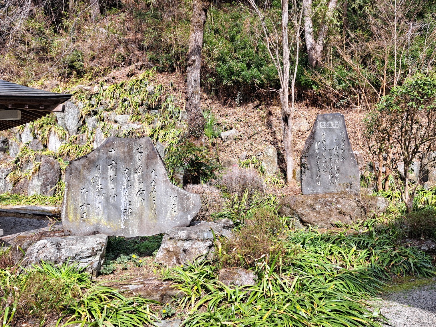 20260302_131920_copy_1525x1144