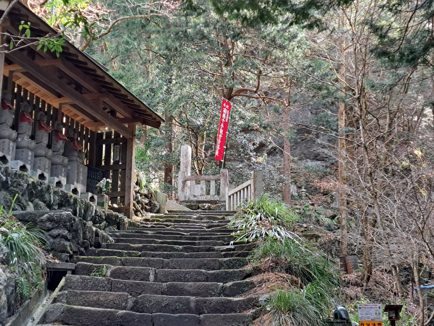 20260302_131253_copy_1525x1144