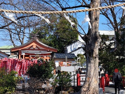 20260305_113805_copy_478x358