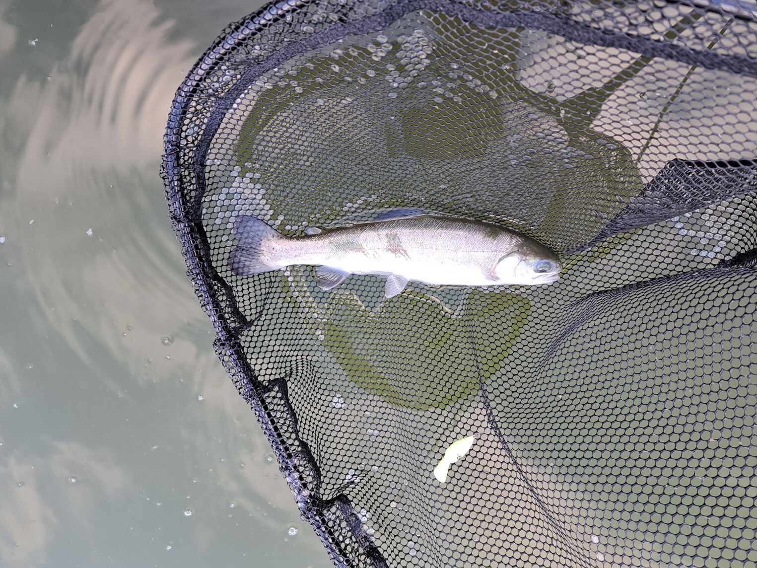 20260310_162401_copy_1525x1144_1