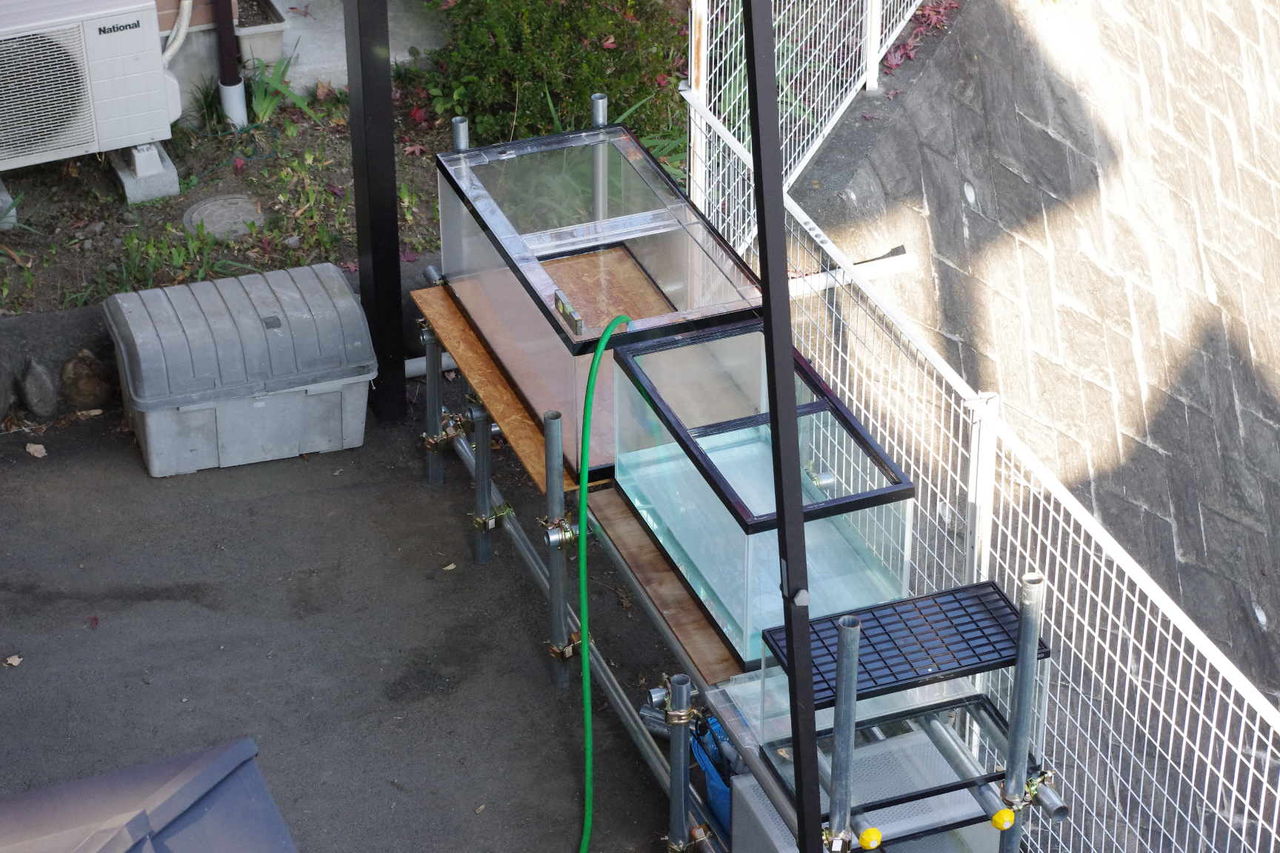 あの単管パイプが今!! : Ancient Rider 