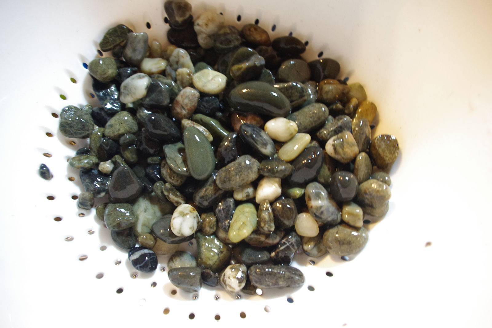 密閉式圧力濾過槽の大掃除 ａｎｃｉｅｎｔ ｒｉｄｅｒ