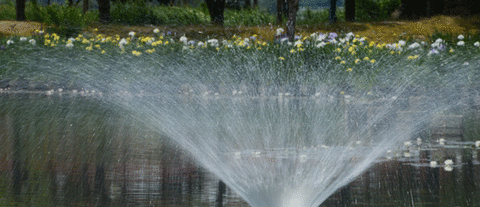 シャッタースピードを変えて