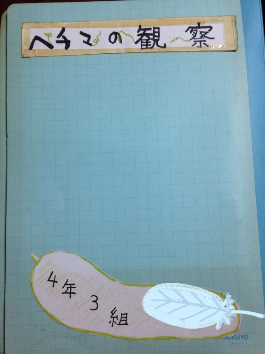 ヘチマの観察絵日記 たごやまゆりぽcafe