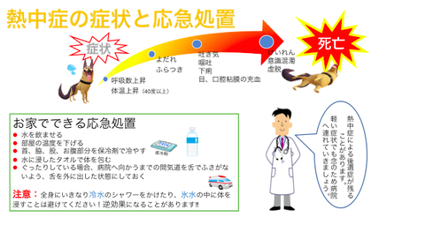 6枚目　ver.2