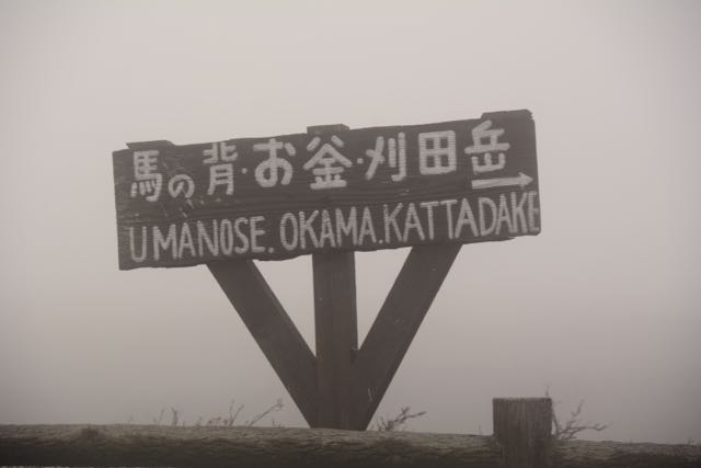 イメージ 10