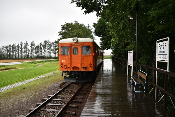 DSC_4204