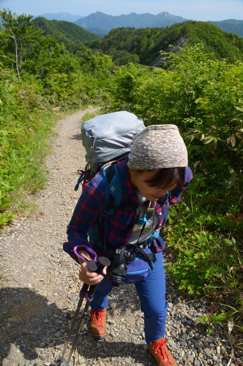 日本百名山 越後駒ヶ岳 今年２度目のえちこまへ やまぞらのあお