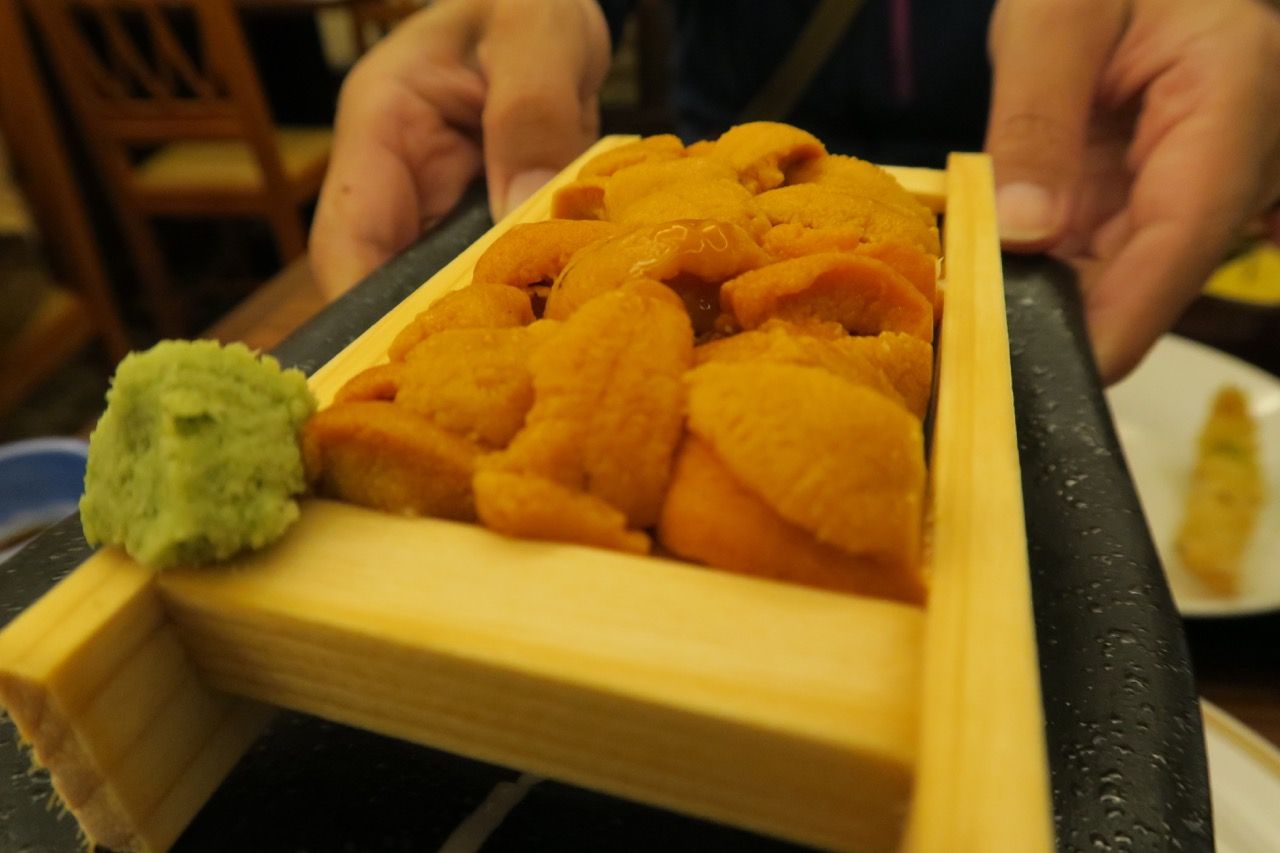 イメージ 31