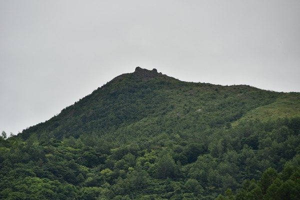 DSC_4157