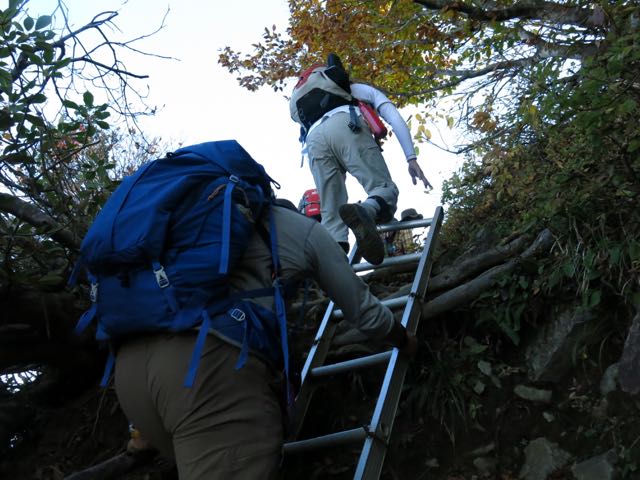 イメージ 17