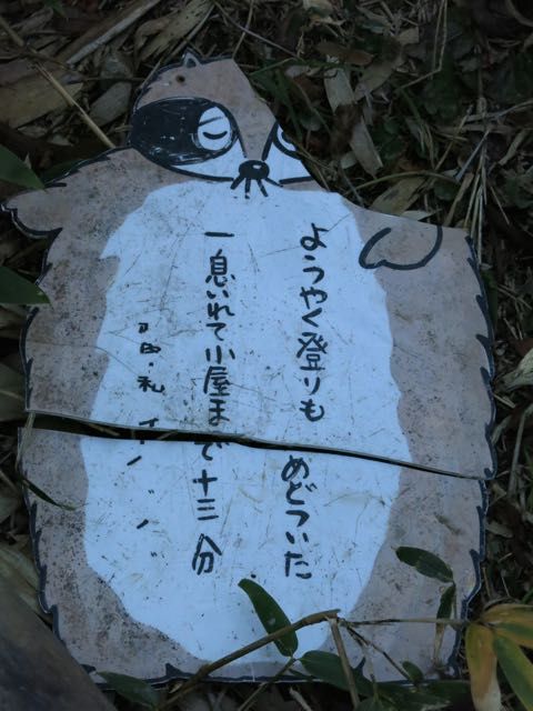 イメージ 27