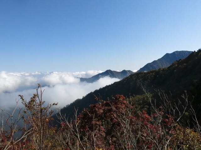 イメージ 19