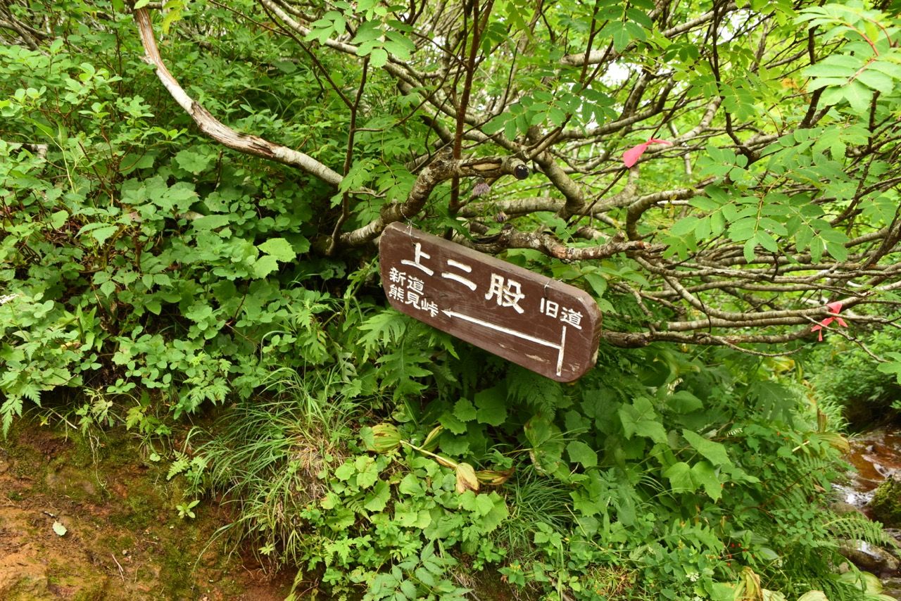イメージ 16