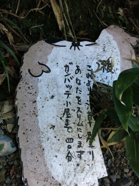 イメージ 24