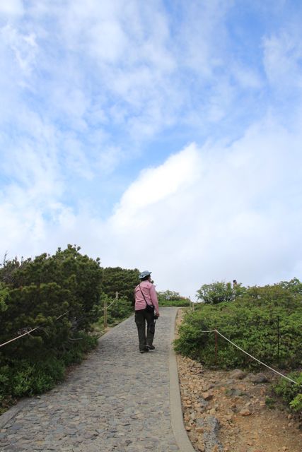 イメージ 3