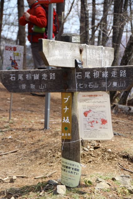 イメージ 14