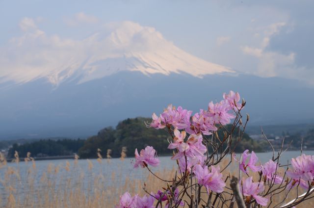 イメージ 19