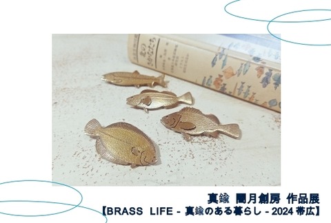 WS000255