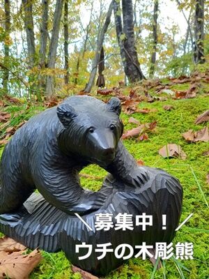 uchinokuma