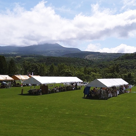 365280274_1441940969989571_1806002201237557442_n (1)