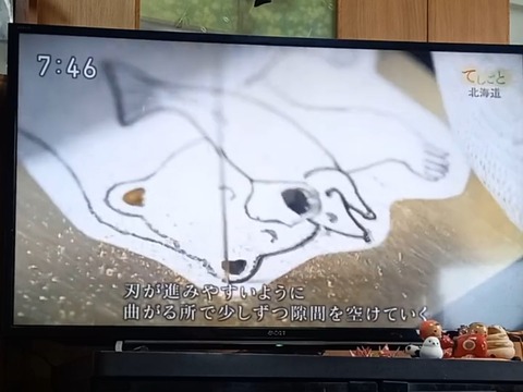 Screenshot_20250125-131402_YouTube