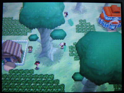 ポケモンホワイトプレイ日記 その20 新たなる冒険 新 遺跡の草むら ポケモンホワイトプレイ日記 その20 新たなる冒険 新 遺跡の草むら