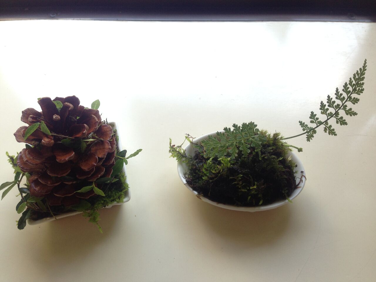 やもりんいもりん