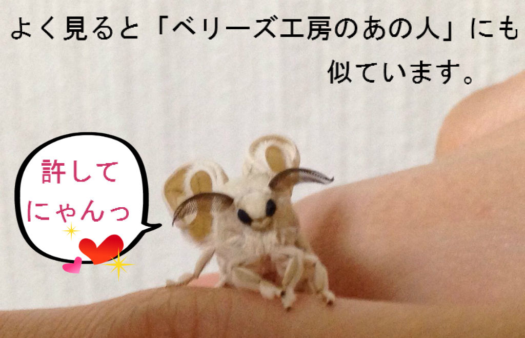 餌虫考察 その1 蚕 シルクワーム やもりんいもりん 餌虫考察 その1 蚕 シルクワーム やもりんいもりん