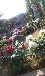 0c48ef4a.jpg