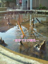a96f25fb.jpg