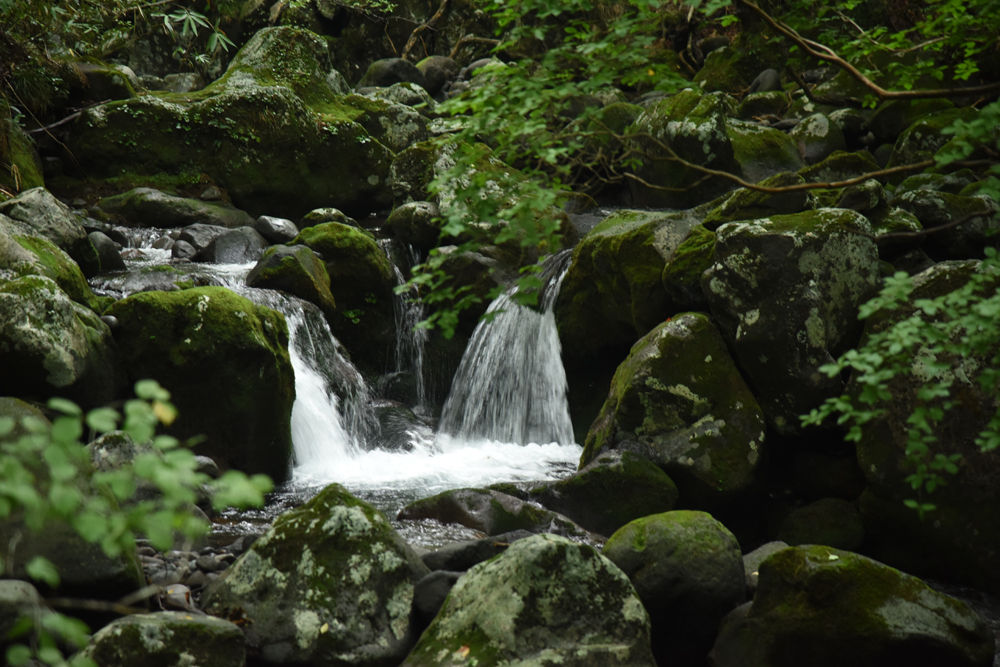 山形県遊佐町 高瀬峡 あうとどあ らいふ