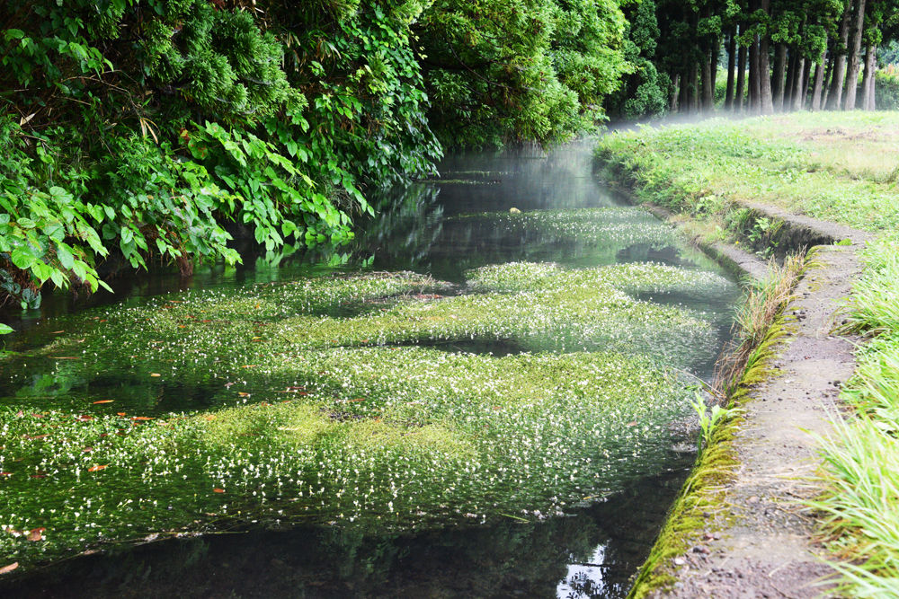 遊佐町 牛渡川 あうとどあ らいふ