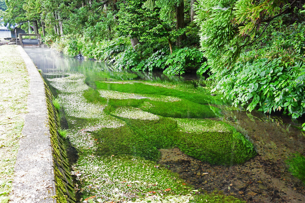 遊佐町 牛渡川 あうとどあ らいふ