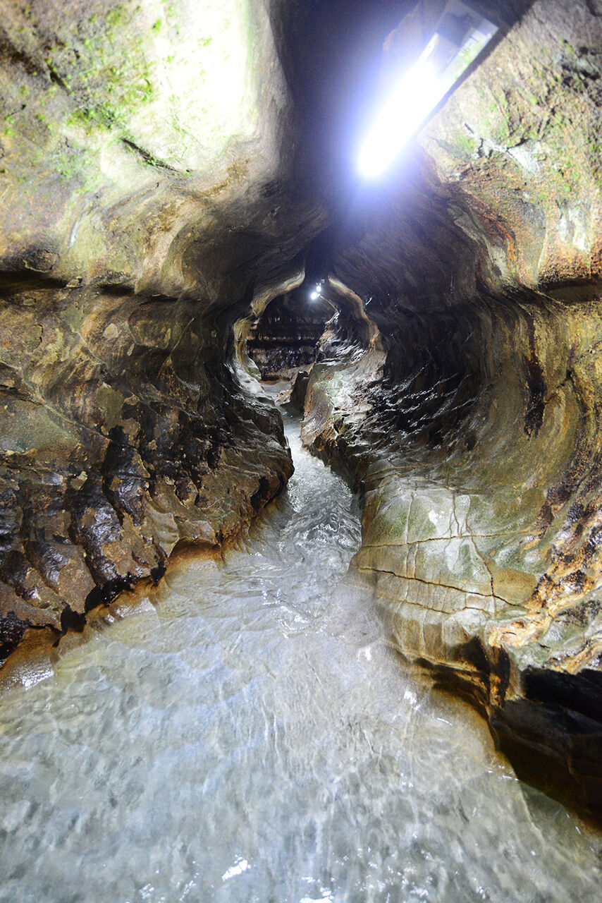 カルスト大地 平尾台 あうとどあ らいふ