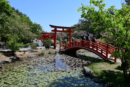 605_00192025ǯ_0019605_001952025-Ztes@4