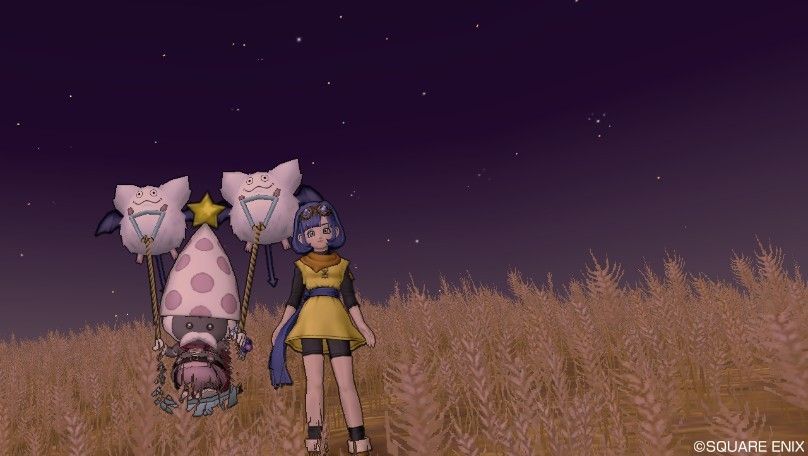 おさんぽセラフィに会うためのコツ やなうの奇妙な冒険ドラクエ10 おさんぽセラフィに会うためのコツ やなうの奇妙な冒険ドラクエ10