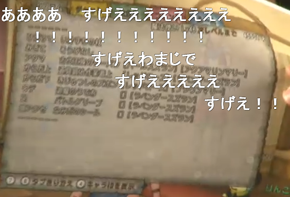 速報 神機能 妖精の姿見がキター やなうの奇妙な冒険ドラクエ１０