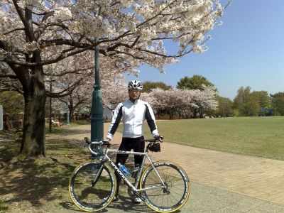 ロードバイクツーリング桜、根岸、本牧 (1)s