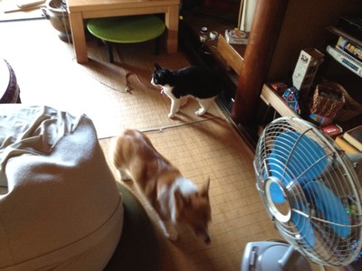 2012-08-21 12:31:07 写真1