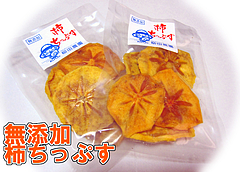 kakic01