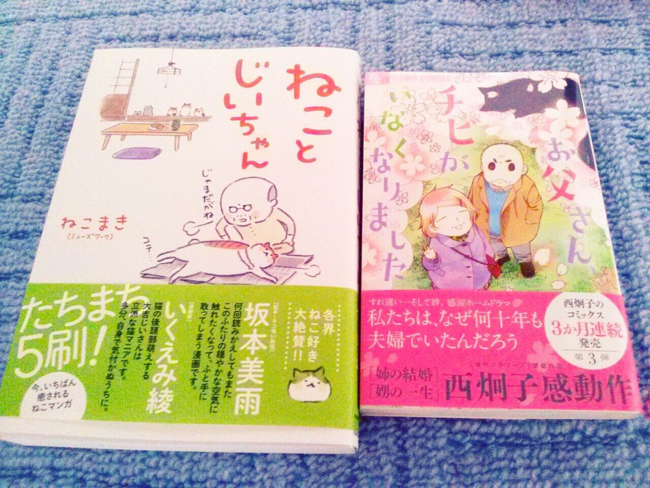 猫が出てくる漫画 モハブログ 猫が出てくる漫画 モハブログ