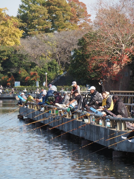 秋の水元公園 : よくある株の日記２