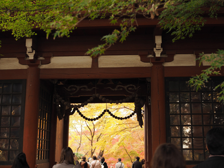 本土寺と東漸寺の紅葉を歩く よくある株の日記2 本土寺と東漸寺の紅葉を歩く よくある株の日記2