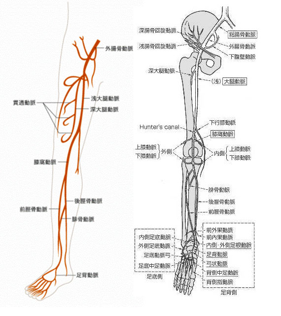 本にのっていないこと Yanchangの現在修行中 本にのっていないこと Yanchangの現在修行中
