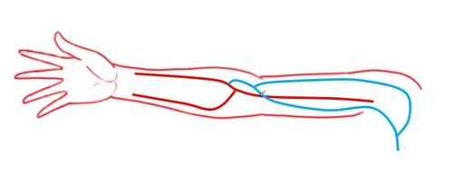 yanchangの現在修行中                yanchang