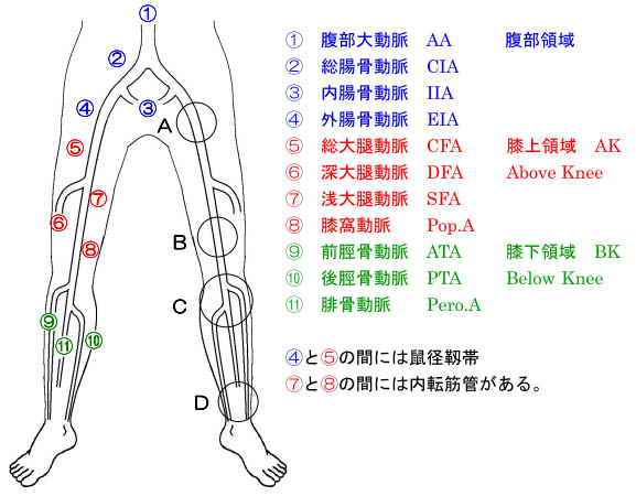 症例集 11 03 16 Yanchangの現在修行中