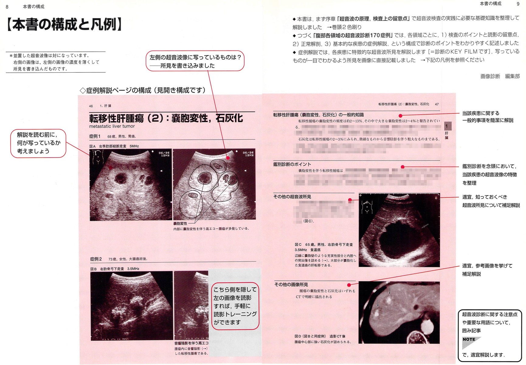 はじめての腹部エコー (KEY BOOKシリーズ)：久 直史 : yanchangの現在